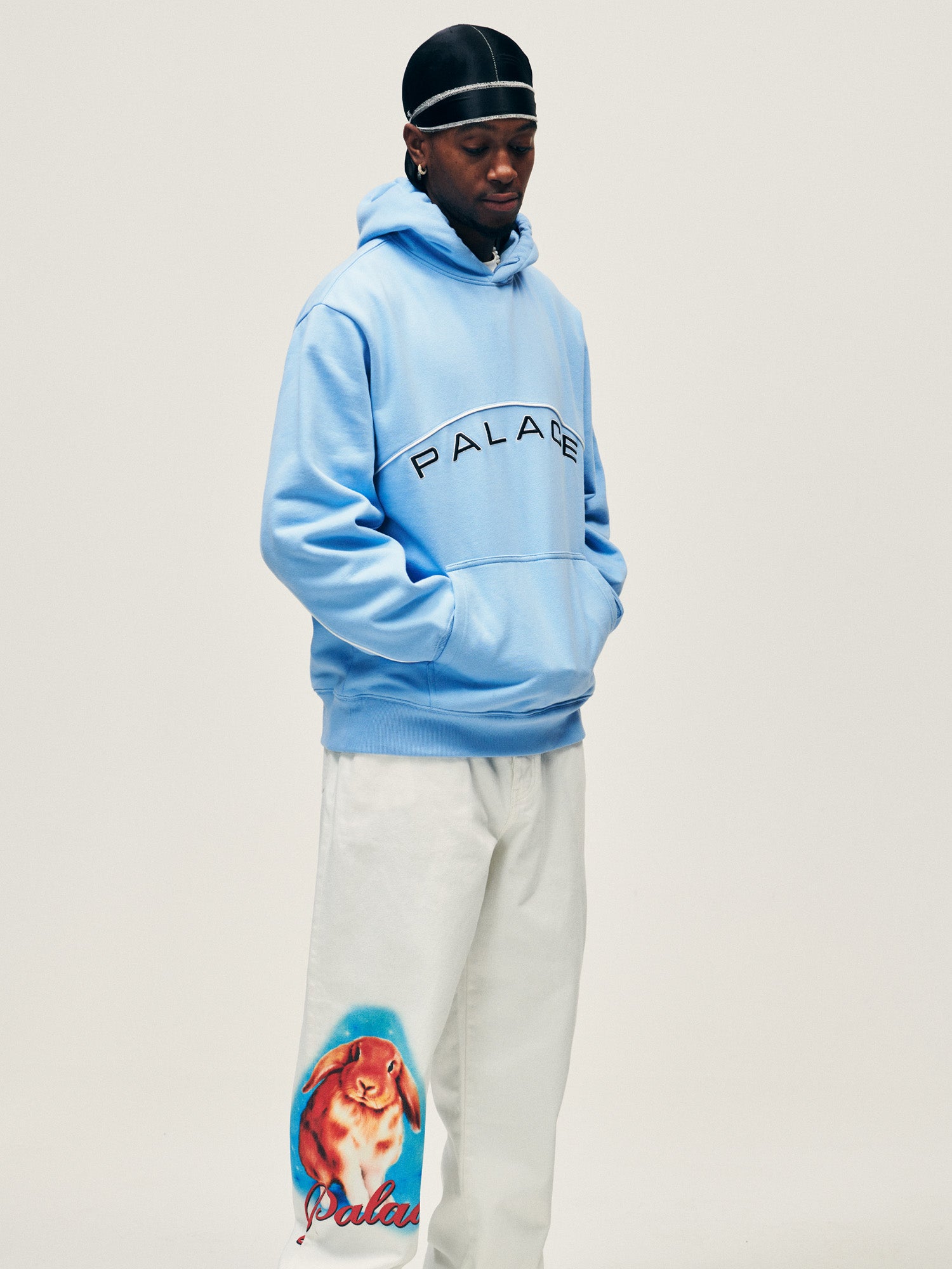 Palace dsmla hot sale hoodie